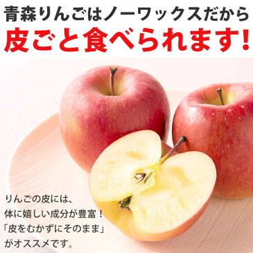 【2020年度産】【送料込】【A級品】サンふじ青森りんご(約10kg)【竹嶋有機農園】【メーカー直送につき代引・同梱・海外発送不可】