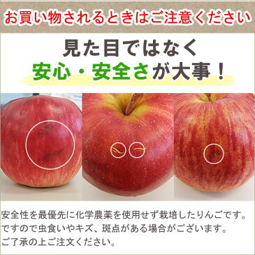 【2020年度産】【送料込】【A級品】サンふじ青森りんご(約10kg)【竹嶋有機農園】【メーカー直送につき代引・同梱・海外発送不可】