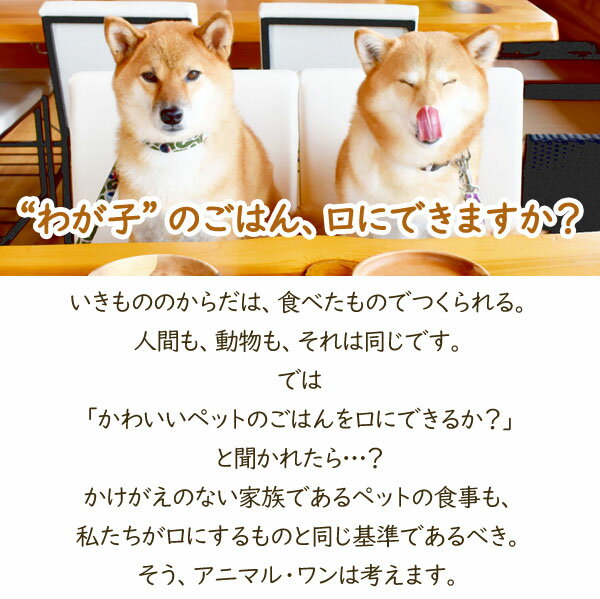 サンプル画像3