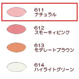 ���륨�꡼�ȥ��������顼 611�ʥʥ�����ˡڥ���ݥ󲽾������ޡ�