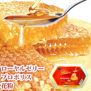 【入荷未定】ドイツ産 バリム コムハニー 巣蜜（400g）【ハンズトレーディング】