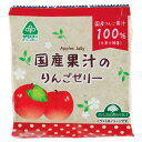 【在庫限り】【夏季限定】国産果汁のりんごゼリー(22g×6個入)【サンコー】