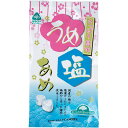 【在庫限り】【夏季限定】うめ塩あめ(76g)【サンコー】