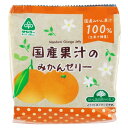【在庫限り】【夏季限定】国産果汁のみかんゼリー(22g×6個入)【サンコー】