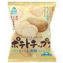 ポテトチップス・しお味(60g)【サンコー】