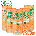 【お得なまとめ買い】光食品 有機みかんサイダー＋レモン（250ml×30本セット）缶【ヒカリ】□