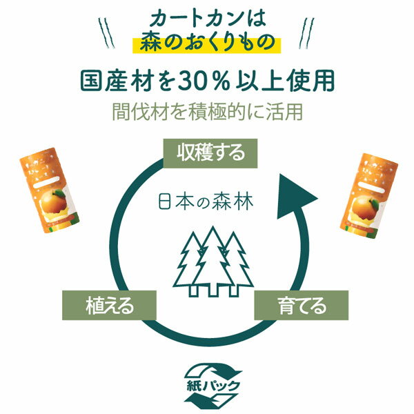 �������˥å����ȥ졼�ȥ��塼�� ����󥸡�195g�˥����ȥ���ڤऽ��������