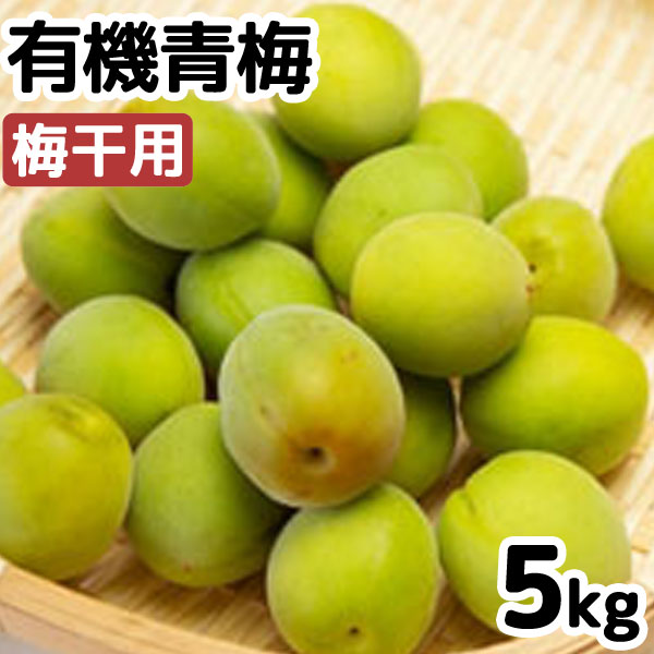乐天商城 - 【5月15日よりご注文開始】有機青梅・吉野の梅（梅干用）（5kg）【ムソー】【直送につき代引・同梱不可】【送料込】□【2026年6月下旬より発送予定】