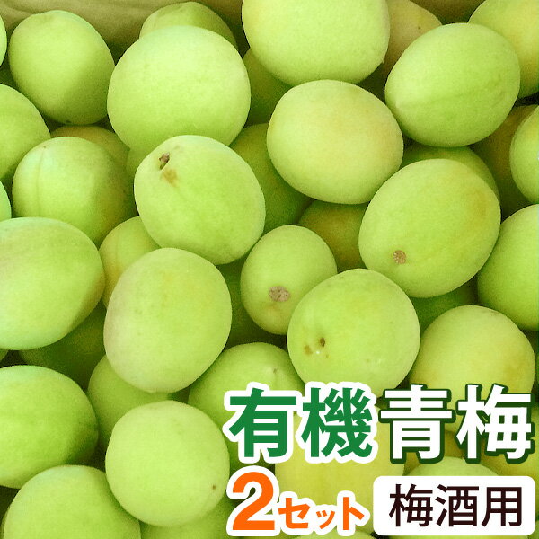 Other - 【5月16日よりご注文開始】梅酒用・有機青梅（2kg）【2セット】【海の精】【クール便発送】【直送につき代引・同梱不可】【送料無料】【2026年6月中旬より発送予定】