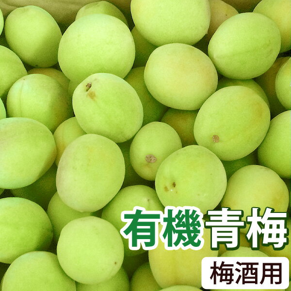 Other - 【5月16日よりご注文開始】梅酒用・有機青梅（2kg）【海の精】【クール便発送】【直送につき代引・同梱不可】【送料無料】【2026年6月中旬より発送予定】