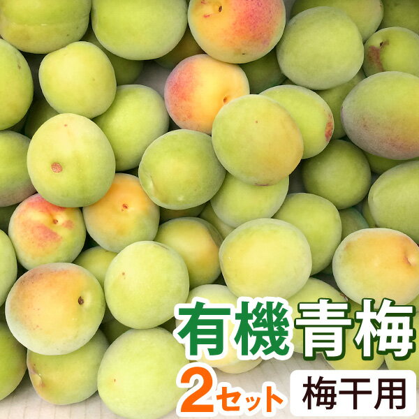 乐天商城 - 【5月22日よりご注文開始】梅干用・有機青梅（2kg）【2セット】【海の精】【クール便発送】【直送につき代引・同梱不可】【送料無料】【2026年6月中旬より発送予定】