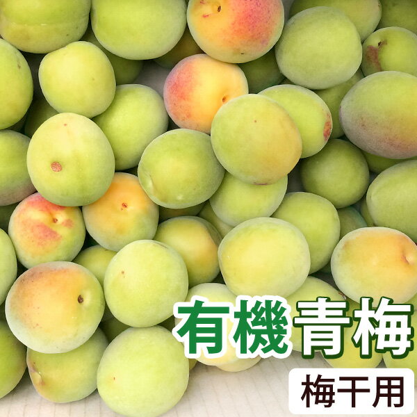 Other - 【5月22日よりご注文開始】梅干用・有機青梅（2kg）【海の精】【クール便発送】【直送につき代引・同梱不可】【送料無料】【2026年6月中旬より発送予定】