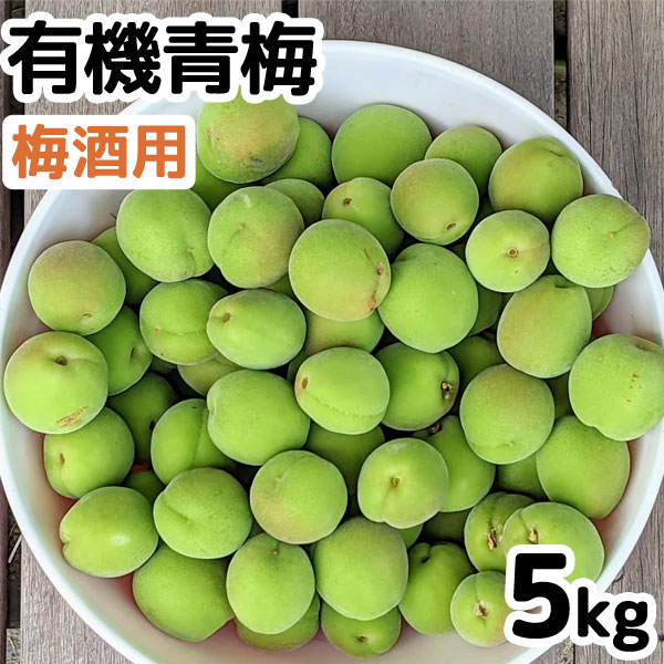Rakuten - 【予約注文】【6月中旬より発送予定】有機青梅・吉野の梅（梅酒用）（5kg）【ムソー】【直送につき代引・同梱不可】【送料込】□