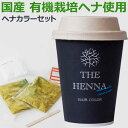 みんなでみらいを 国産ヘナ使用 ヘナカラーセット ダークブラウン(30g×2袋入)【フロムファーイースト】