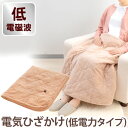 電磁波低減 電気ひざかけ(低電力タイプ)〔ZR-05LR〕【ゼンケン】【直送につき代引・同梱不可】【いつでもポイント10倍】【送料無料】