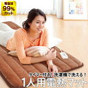 電磁波99%カット(磁界)一人用電熱マット ブラウン(タイマー付き)〔ZMT-75CT〕【ゼンケン】【直送につき代引・同梱不可】【いつでもポイント10倍】【送料無料】