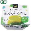 【夏季限定】あんこ屋さんの有機水ようかん・抹茶(100g)カップ【遠藤製餡】