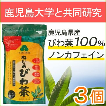 ねじめびわ茶24（48g(2g×24包)）【3個セット】【十津川農場】