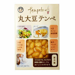 【オーサワ冷蔵商品】丸大豆テンペ（100g）【登喜和食品】【メーカー直送につき代引・同梱・海外発送・日時指定不可】