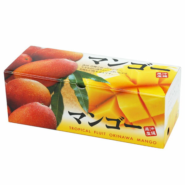 沖縄県産 アップルマンゴー （約1kg（2〜4玉））【ぱるず】【直送につき代引・同梱...