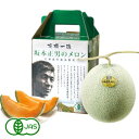 有機栽培メロン(ゆめてまり)(約1.3kg×1玉)【創健社】【直送につき代引・同梱不可】【創健社のサマーギフト】□