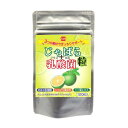 じゃばら+乳酸菌 粒(36g(300mg×120粒))【健康フーズ】