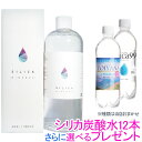 【シリカ炭酸水12本さらに選べるプレゼント】水溶性珪素 シリカミネラル 500ml 【グッドフェイス】【いつでもポイント10倍】【送料無料】