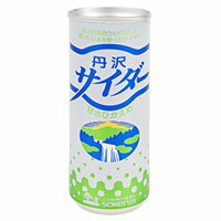 丹沢サイダー（250ml）【創健社】