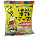 メイシーちゃん（TM）のおきにいり しおあじのポテトチップス（34g）