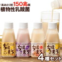 あまざけ+乳酸菌『ちほまろ』4種セット(プレーン・玄米・ぶどう・キウイ)(150g×各1本)【高千穂ムラたび】