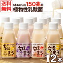 あまざけ+乳酸菌『ちほまろ』(150g)【選べる12本セット】【高千穂ムラたび】【送料無料】