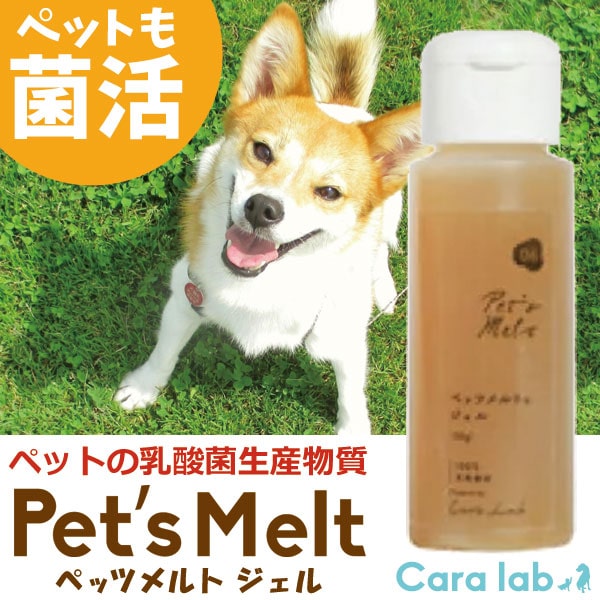 サンプル画像2