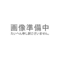 玉川温泉の岩盤浴ふとんDX 専用カバー シングル用【山甚物産】【メーカー直送につき代引・同梱・海外発送不可】