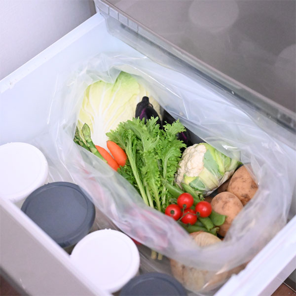 ����Х�󥹥Хå��ʥ���å��ʤ��� 45L��������4�����ˡڥ�����ޥå�����