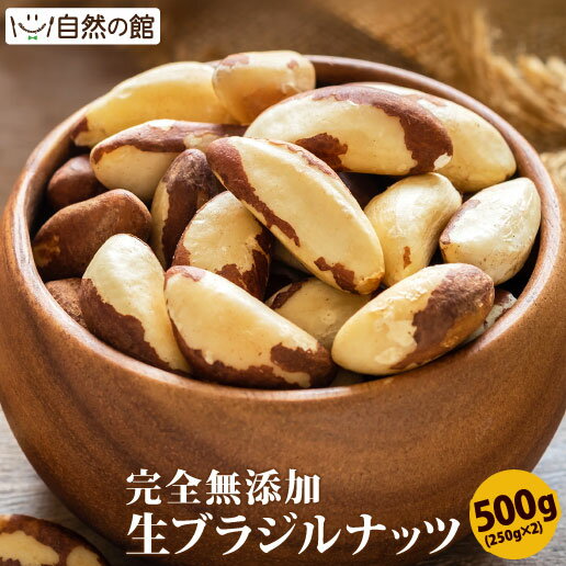 ブラジルナッツ 生 500g (250g×2) 送料無料 無塩 無添加 保存に便利なチャック付き [ ナッツ おつまみ おやつ お試しサイズ 自然の館 ] 保存食 非常食 訳あり