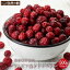 ȥӥ ٥꡼ 500g(250g2) ¸Ի ɥ饤ե롼 ̵ ¸ʥåդ [ ŻäѤ ե롼 cranberry  δ ¸ ￩ 