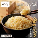 5/1限定エントリー&買い回りで最大P20倍!【令和6年産】うるち玄米450g 金のいぶき 無添加 国産雑穀 雑穀米 無添加雑穀 雑穀 国産 お試し 送料無料 ...