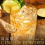★\リニューアル!/高知県産生姜100%使用 生姜パウダー 70g GINGER POWDER ショウガオール増量 ジンジャー しょうが 生姜 国産 生姜粉末 乾燥生姜 ウルトラ生姜 手軽 蒸し生姜 蒸しショウガ 生姜マイスター秘伝 スーパー生姜 しょうが粉末 生姜湯 自然の館