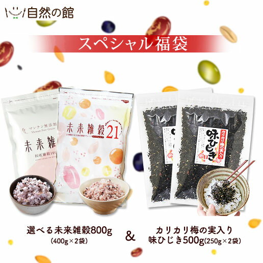 【55％OFF】期間限定スペシャル福袋 選べる未来雑穀 2袋 カリカリ梅の実入り味ひじき 2袋 雑穀米 雑穀 雑穀米 無添加 国産 健康食品 ダイエット食品 ふりかけ 飯とも 飯友 ひじき ふりかけ おにぎり 保存食 訳あり