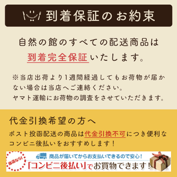 ホロホロの口どけ♪ 丹波種 黒豆甘納豆 (しぼり納豆）2個セット 【和菓子】【黒豆】【甘納豆】【セット】 おやつ