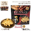 カリざくポテト 40g×3 送料無料 博多とりかわ大臣 とりかわタレ おつまみ 家飲み 宅飲み ポイント消化 非常食 保存食 訳あり