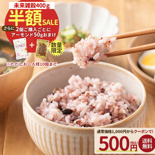 【半額クーポンで500円＆おまけ企画開催】雑穀米 雑穀 国産 400g お試し 送料無料 未来雑穀21+マンナン 袋 話題 もち麦 発芽玄米 保存食 非常食 訳あり 栄養 健康 雑穀人気店の自慢の雑穀米 愛されて発売10年以上 【2-4営業日以内に出荷予定(土日祝日除く)】