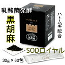  SODロイヤル 黒胡麻 サプリメント 乳酸菌発酵 はと麦 セサミン 3g×60包 おまけ付き 限定品