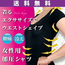 加圧インナー 加圧シャツ レディース 半袖 送料無料 tシャツ 着圧 姿勢 猫背 補正下着 女性用 ぽっこりお腹 下腹 サポート 引き締め くびれ 背筋 コンプ...