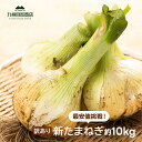  新たまねぎ 約10kg / 20kg 佐賀県産 白石 たまねぎ 新玉ねぎ 玉ねぎ 甘くてやわらかい！辛くないから生でおいしい！送料込 最安値 挑戦