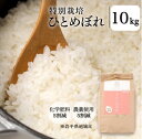 【数量限定/スーパーセールで半額！！】お米 ひとめぼれ10kg 玄米 白米 玄米 特別栽培米 農薬5割減 科学肥料使用5割減 岩手県産 雫石 令和3年 ヴィーガン グルテンフリー 無添加 アレルギーフリー 体に優しい 離乳食 産地直送