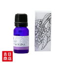 オリジナル アロマオイル KOUDO 10ml ギフト