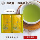 静岡茶 天蓬2袋セット 100g×2本 | お茶 緑茶 深蒸し茶 茶葉 静岡茶 日本茶 煎茶 静岡茶ギフト ギフト 贈り物 香典返し 粗供養 返礼品 健康 健康茶 高級 高級茶 静岡 お茶っ葉 プレゼント 深むし 深蒸し 深蒸し煎茶 出産内祝い 内祝い プチギフト 静岡茶園 御中元 お中元 おちゃ