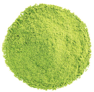 粉末緑茶「やすらぎの詩」0.5g×50包緑茶パウダー 粉末 個包装 分包 スタンドパック お茶 緑茶 茶葉 静岡茶 お茶 香り 国産 健康茶 健康 茶 家庭用 飲み茶