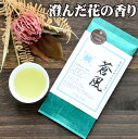 お茶 高級 緑茶 茶葉 静岡 煎茶 蒼風 そうふう 100g ケルセチン お茶の葉桐 話題の品種茶 PREMIUM 煎茶 緑茶 日本茶 茶葉 上質 特上 プレミアム 高級 お茶の品種